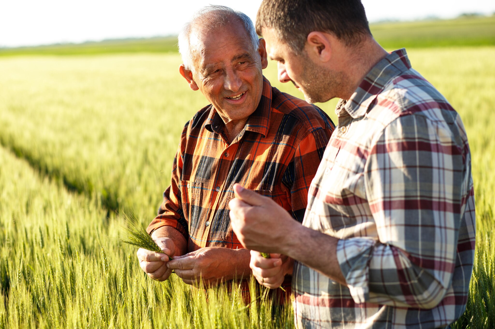 two-farmers-inspecting-grain-1.jpg
