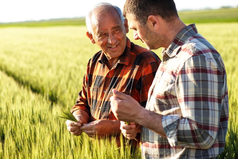 two-farmers-inspecting-grain-1.jpg