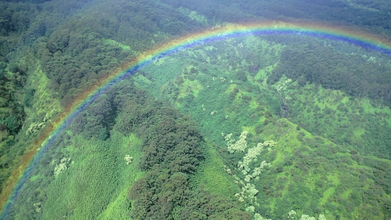 united-states-sustainability-annotation-banner.jpg