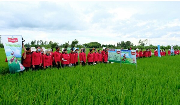 vietnam-news1.jpg