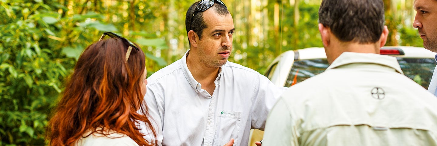 Visual_BCS-ES_Forestry_Partnering_Eucalyptus_VV6A4891_CMYK.jpg