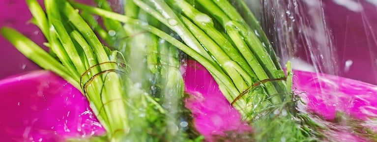 Washing_of_herbs.jpg