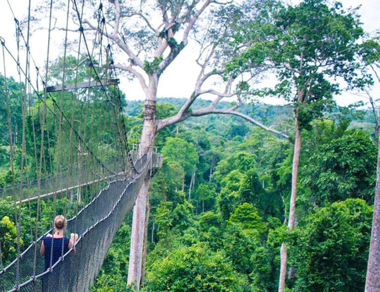 wca-ivorycoast-landmark-1440x590.jpg
