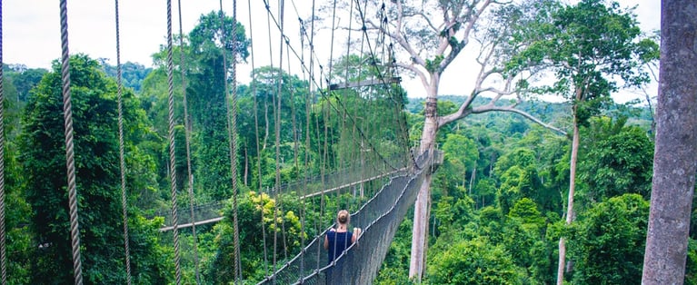 wca-ivorycoast-landmark-1440x590.jpg