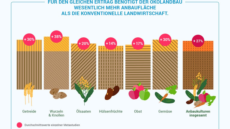 web_bayer_infografik_190521a_rz.jpg