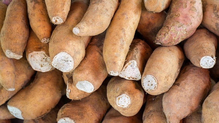 yams.jpg
