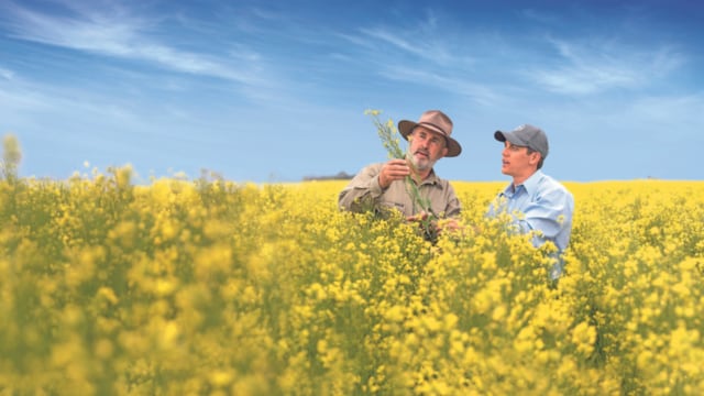 yourcareer-fieldexperts-640x360.png