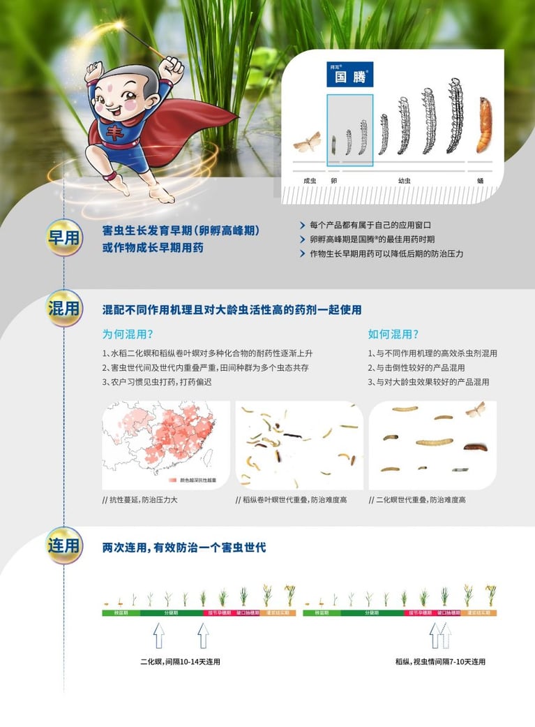 zaohunlianshiyi.jpg