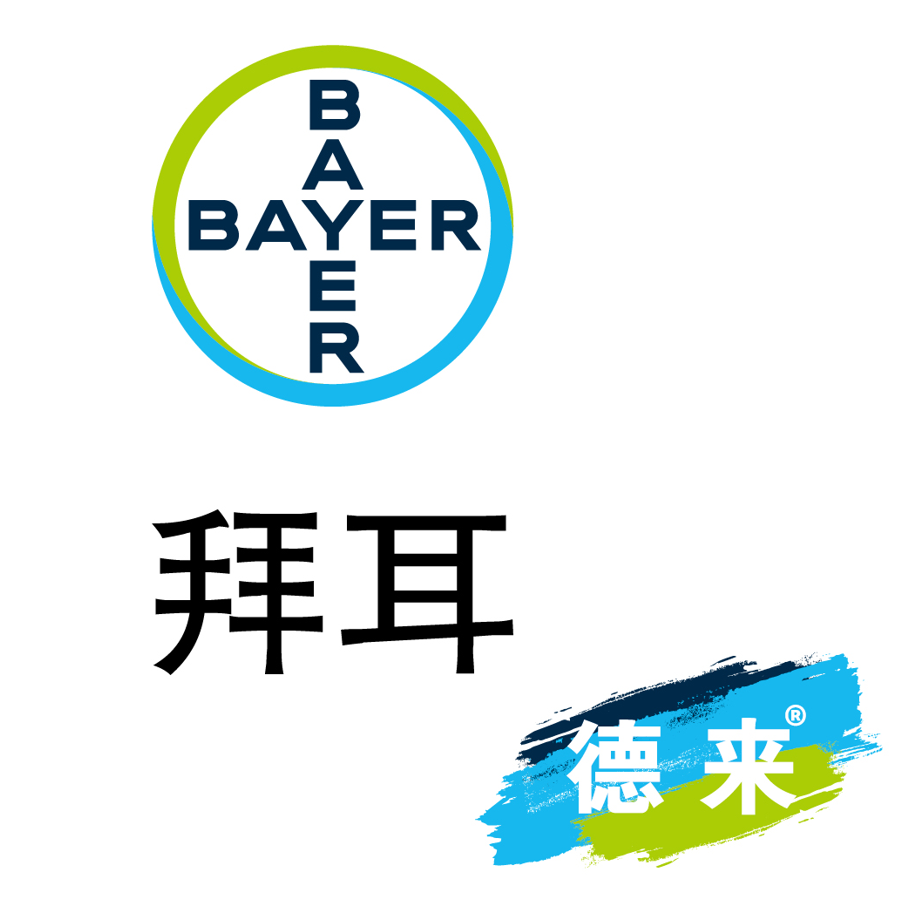 baibiao